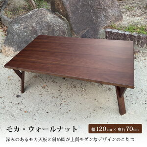 yzJEEH[ibg 120cm s70cm  R^c e[u VR { g rOe[u x  Ƌ ` ؐ Y  a_  i` 