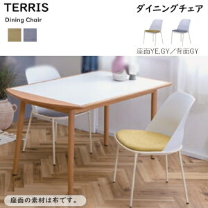 yzTERRIS e[X _CjO`FAszt Iׂ CG[ O[ wʃzCg ̓h X`[ t@ubN X^CbV Vv  V ։Ƌ nofflys m