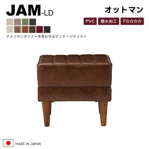 yzY JAM-LD W Ibg} 45cm 10FIׂ Xc[ u RpNg U[ PVC v z H t@ubN { LD\t@ RۉH ؋r Be[W g 