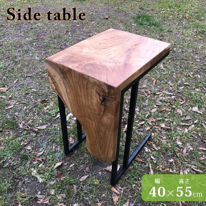 y悠zyzTChe[u 40cm VR `[N ؐ X`[  ubN uE _ ` Tue[u C_XgA Be[W   C