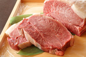 極上飛騨牛フィレステーキ250g　ギフト　A5等級　極上　飛騨牛　ステーキ　フィレ　国産　霜降り　和牛　冷凍　ご贈答品　お歳暮　お年賀　熨斗　お祝い　お誕生日　母の日　父の日 セール　グルメ　【送料無料】