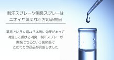 オールシーズン使える、制汗剤・デオドラント【アルムミスト100ml】