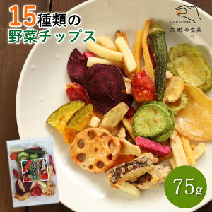 15ނ̖؃`bvX 75g  ؃XibN َq HMtg H̖o nEB Mtg v[g yY 蕨 XibNَq q  lߍ킹 ̍ ܂   