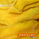 ドライマンゴー 100g ドライフルーツ 秋ギフト 秋の味覚 ハロウィン ギフト プレゼント 手土産 手土産 お菓子 プレゼント フルーツティー 送料無料 ジュース 紅茶 プチギフト 非常食 保存食 キャンプ飯 行動食