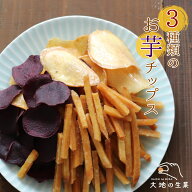 3種類の芋チップス 65〜500g 野菜チップス スナック菓子 小袋 珍味 大地の生菓 いもけんぴ かりんとう お…