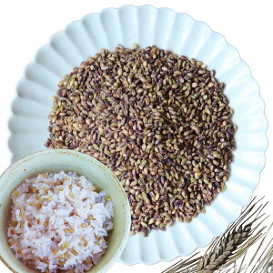 啪Y   300g Y 唞 -OJ H@ G _sgp͔| w엿sgp ^pbN ͂   ~bNX 邾