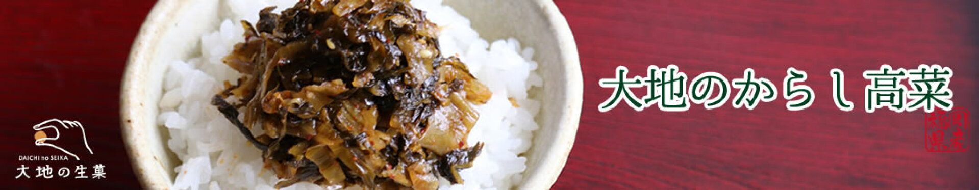 辛子高菜