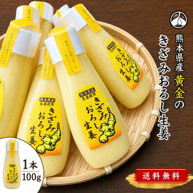 《2024年7月度月間優良ショップ受賞》黄金のきざみ おろし生姜 1本 100g入り お買得 セット 熊本県産 《 送料無料 》【 おろししょうが しょうが チューブ 生姜 ショウガ 生しょうがおろし チューブ生姜 チューブ 冷え性対策 薬味 調味料 料理 国産 熊本県産 送料無料 】