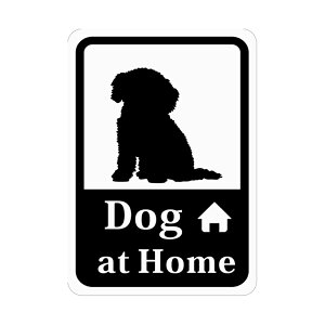 XebJ[ V[  |Xg ybg܂XebJ[  ӊN L܂ ܂ ܂ L A6 Ĕ