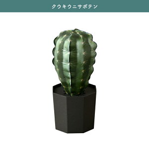 o[ ϗtA Mtg 蕨 v[g NE\[vc QooSo Plants CeA u D KW} EjT{e OLX E`T{e XփMtg eiXsv v`Mt