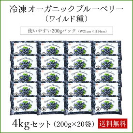 オーガニック 冷凍 ワイルドブルーベリー 1kg 3kg 4kg 無農薬 有機JAS認証 大容量 メガ盛り お徳用 個包装 小分け 野生種 フルーツ 果物 送料無料 1キロ 3キロ 4キロ