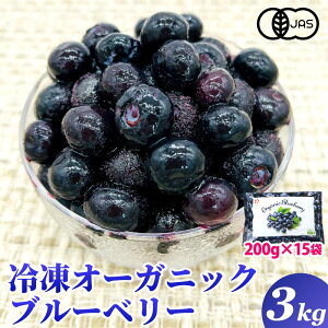 オーガニック 冷凍 ブルーベリー 3kg（200g×15パック） 有機JAS認証 大容量 お徳用 メガ盛り 大粒 デューク フルーツ 果物 送料無料