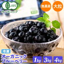オーガニック 冷凍ブルーベリー 1kg 3kg 4kg 無農薬 有機JAS認証 業務用 大容量 お徳用 メガ盛り 大粒 デューク フル…