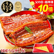 ＼楽天総合ランク1位／ うなぎ 国産 長蒲焼2尾 父の日 ポイント10倍 早得 早割 ギフト うなぎ蒲焼 鰻 ウ…