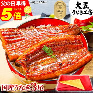 父の日 うなぎ 国産 長蒲焼3尾セット ギフト 誕生日 プレゼント 鰻 ウナギ 蒲焼 蒲焼き うなぎ蒲焼 3人前…