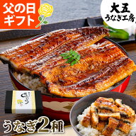 父の日 プレゼント ギフト うなぎ 国産 うなぎ蒲焼き2種セット （長焼き(大)1尾＆きざみうなぎ2パック） …