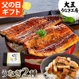 父の日 まだ間に合う うなぎ プレゼント ギフト 国産うなぎ蒲焼き2種セット （長焼き(大)1尾＆きざみうなぎ2パック） うなぎ蒲焼 蒲焼き 御祝 内祝 誕生日 食べ物 グルメ 冷凍 ひつまぶし きざみうなぎ 冷凍