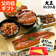 父の日 ギフト うなぎ 国産 蒲焼き 3種セット 長蒲焼1尾＆カット蒲焼2枚＆きざみうなぎ1パック 焼き肝串…