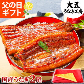 父の日 プレゼント うなぎ 国産 長蒲焼2尾 ギフト うなぎ蒲焼 鰻 ウナギ 蒲焼 蒲焼き 誕生日 内祝 お祝い 出産内祝 結婚内祝 国内産 60代 70代 80代 食べ物 unagi グルメ お取り寄せ 食品 人気 冷凍 6/21までにお届け可