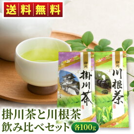 掛川茶と川根茶 各100g 飲み比べセット 緑茶 お茶 静岡 静岡茶 深蒸し茶 掛川深蒸し茶 浅蒸し茶 健康 メール便 送料無料