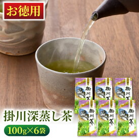 お徳用 掛川深蒸し茶（紫）100g×6袋 緑茶 お茶 静岡茶 静岡 掛川茶 深蒸し茶 煎茶 まとめ買い お得 業務用 送料無料