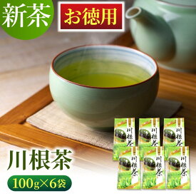 【新茶 2024】 お徳用 川根茶 100g×6袋 緑茶 お茶 静岡 静岡茶 浅蒸し茶 まとめ買い お得 業務用 送料無料