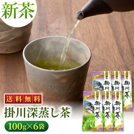 【新茶2024】 お徳用 掛川深蒸し茶（紫）100g×6袋 緑茶 お茶 静岡茶 静岡 掛川茶 深蒸し茶 煎茶 まとめ買い お得 業務用 送料無料