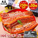 お中元 ギフト うなぎ 国産うなぎ長蒲焼4尾セット 寸志 蒲焼き プレゼント 敬老の日 60代 70代 80代 お祝い 内祝い 出産内祝 結婚内祝 御礼 お返し 誕生日 鰻 ウナギ 国内産 蒲焼 4人前 四人前 食べ物 グルメ 真空パック 自社製造