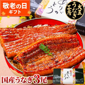 敬老の日 うなぎ 国産 長蒲焼3尾セット ギフト 誕生日 プレゼント 鰻 ウナギ 蒲焼 蒲焼き うなぎ蒲焼 3人前 三人前 60代 70代 80代 お祝い 内祝い 出産内祝 結婚内祝 御礼 お返し 食べ物 国産 グルメ 真空パック 自社製造 大五うなぎ工房