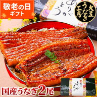 敬老の日 ギフト うなぎ 国産 長蒲焼 2尾 プレゼント うなぎ蒲焼 鰻 ウナギ 蒲焼 蒲焼き ギフト包装 誕生…