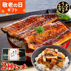 まだ間に合う 敬老の日 うなぎ ギフト 国産うなぎ蒲焼き2種セット （長焼き(大)1尾＆きざみうなぎ2パック） うなぎ蒲焼 蒲焼き プレゼント 御祝 内祝 誕生日 食べ物 グルメ 冷凍 ひつまぶし きざみうなぎ 冷凍 大五うなぎ工房
