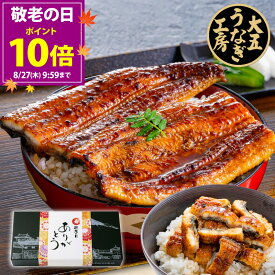 敬老の日 うなぎ ギフト 国産うなぎ蒲焼き2種セット （長焼き(大)1尾＆きざみうなぎ2パック） うなぎ蒲焼 蒲焼き プレゼント 御祝 内祝 誕生日 食べ物 グルメ 冷凍 ひつまぶし きざみうなぎ 冷凍