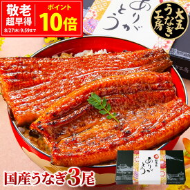 敬老の日 超早得ポイント10倍 うなぎ 国産 長蒲焼3尾セット ギフト 誕生日 プレゼント 鰻 ウナギ 蒲焼 蒲焼き うなぎ蒲焼 3人前 三人前 60代 70代 80代 お祝い 内祝い 出産内祝 結婚内祝 御礼 お返し 食べ物 国産 グルメ 真空パック 自社製造