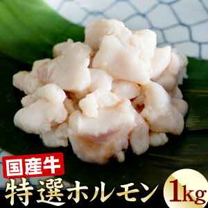 牛もつ