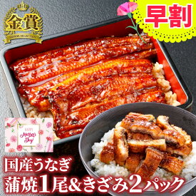 【超早割15％OFFクーポン】 早割 母の日 プレゼント 2024 うなぎ 蒲焼き 国産うなぎ 長蒲焼（小）1尾＆贅沢きざみ2パックセット メッセージカード付き ギフト グルメ 鰻 ウナギ 蒲焼 かばやき きざみうなぎ 国内産 国産 金賞 送料無料