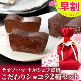 【超早割15％OFFクーポン】 母の日 プレゼント ギフト テオブロマ 土屋公二シェフ監修 ご褒美ガトーショコラ＆ケイクショコラセット ケーキ スイーツ 洋菓子 カカオ チョコレートケーキ 誕生日 パーティ 父の日