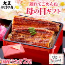 母の日 遅れてごめんね うなぎ ギフト 国産うなぎ 2尾セット 長蒲焼 メッセージカード付き 風呂敷 人気 プレゼント 食べ物 グルメ 鰻 ウナギ unagi 蒲焼き 蒲焼 国内産 国産 金賞 花以外 母の日ギフト 冷凍 豪華 高級 送料無料