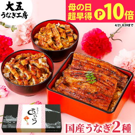 母の日 早割 うなぎ 国産うなぎ蒲焼き2種セット （長焼き1尾＆きざみうなぎ2パック） プレゼント 国産 蒲焼き ギフト 食べ物 グルメ ひつまぶし きざみうなぎ 冷凍 送料無料