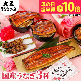 母の日 早割 うなぎ 国産うなぎ蒲焼3種セット 長蒲焼1尾＆カット蒲焼2枚＆きざみうなぎ1パック 焼き肝串プレゼント 母の日メッセージカード付き 風呂敷 ギフト プレゼント 国産うなぎ 鰻 蒲焼き 国産 グルメ 食べ物 花以外 冷凍 高級 豪華 送料無料