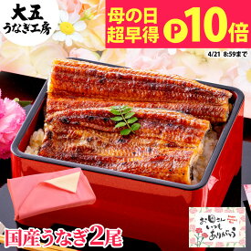 母の日 早割 うなぎ 国産うなぎ 2尾セット 長蒲焼 メッセージカード付き 風呂敷 人気 プレゼント 食べ物 ギフト グルメ 鰻 ウナギ unagi 蒲焼き 蒲焼 国内産 国産 金賞 花以外 母の日ギフト 冷凍 豪華 高級 早得 送料無料
