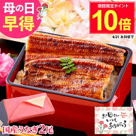 ＼早得ポイント10倍／ 母の日 ギフト 国産うなぎ 2尾セット 長蒲焼 メッセージカード付き 風呂敷 人気 プ…