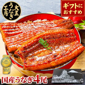 ギフト うなぎ 国産 うなぎ長蒲焼4尾セット 寸志 蒲焼き プレゼント 60代 70代 80代 お祝い 内祝い 出産内祝 結婚内祝 御礼 お返し 誕生日 鰻 ウナギ 国内産 蒲焼 4人前 四人前 食べ物 グルメ 真空パック 自社製造