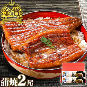 お中元 うなぎ 長蒲焼2尾セット 鰻 ギフト 食べ物 プレゼント ウナギ 蒲焼 蒲焼き 国産 国内産 国産うなぎ 丑の日 土用の丑の日 お祝い 内祝い 結婚内祝い グルメ 冷凍食品 免疫力アップ 送料無料
