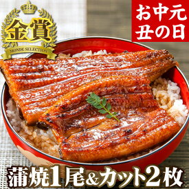 楽天市場 国産うなぎ蒲焼の通販