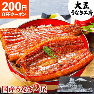 ＼250円OFFクーポンあり／ お中元 ギフト うなぎ 国産 長蒲焼 2尾 プレゼント 土用の丑の日 土用 丑の日 …