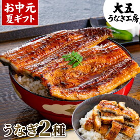 お中元 うなぎ ギフト 国産うなぎ蒲焼き2種セット （長焼き(大)1尾＆きざみうなぎ2パック） うなぎ蒲焼 蒲焼き プレゼント 御祝 内祝 誕生日 食べ物 グルメ 冷凍 ひつまぶし きざみうなぎ 冷凍