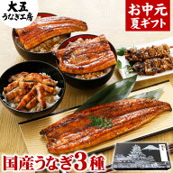 お中元 ギフト うなぎ 国産 蒲焼き 3種セット 長蒲焼1尾＆カット蒲焼2枚＆きざみうなぎ1パック 焼き肝串…