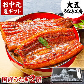 お中元 ギフト うなぎ 国産 長蒲焼 2尾 プレゼント 敬老の日 土用の丑の日 土用 丑の日 うなぎ蒲焼 鰻 ウナギ 蒲焼 蒲焼き ギフト包装 誕生日 内祝 お祝い 出産内祝 結婚内祝 国内産 60代 70代 80代 食べ物 unagi グルメ お取り寄せ 食品 人気 冷凍