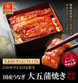うなぎ蒲焼お試し娘(おためしむすめ)うなっ娘&大五蒲焼きお試しセット