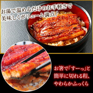 うなぎ蒲焼お試し娘(おためしむすめ)うなっ娘&大五蒲焼きお試しセット
